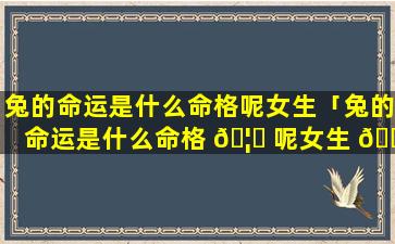 兔的命运是什么命格呢女生「兔的命运是什么命格 🦊 呢女生 🐡 婚姻如何」